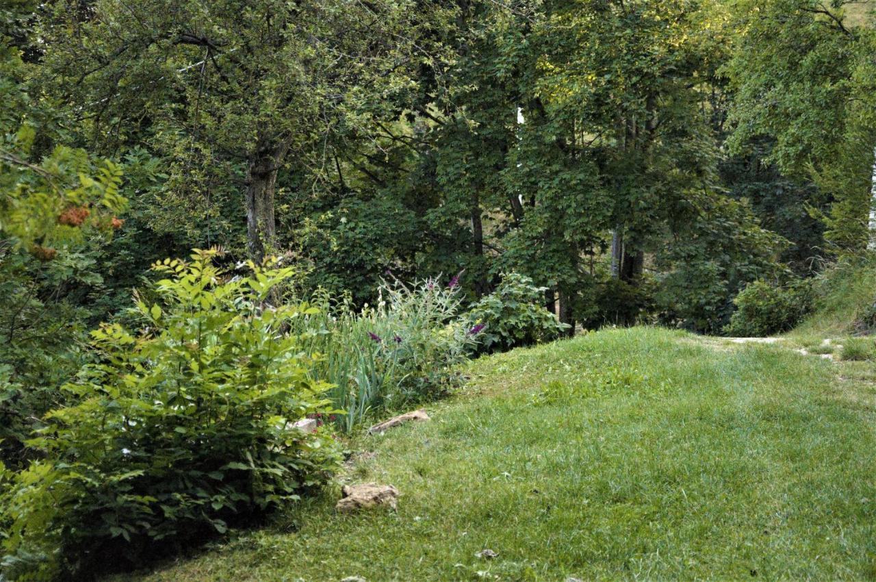 Selva di Progno Il Sanco B&B 외부 사진