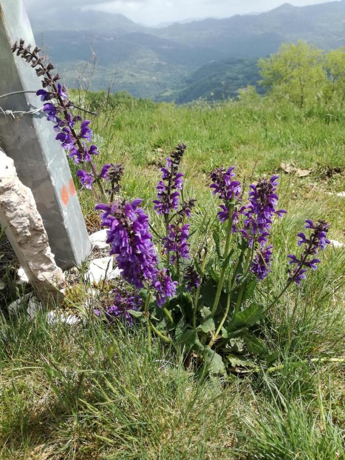 Selva di Progno Il Sanco B&B 외부 사진